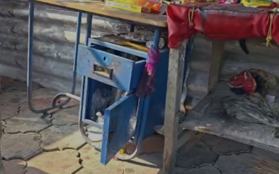 അപ്പൂപ്പൻകാവ് ക്ഷേത്രത്തിൽ മോഷണം; നിരവധി വിളക്കുകളും പൂജാ സാമഗ്രികളും മോഷണം പോയതായി ക്ഷേത്ര ഭാരവാഹികൾ