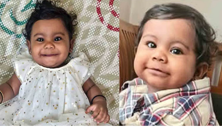 ആലിന് ഇനി നാലുപേരിലൂടെ ‘ജീവിക്കും’