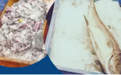 เดตเตผเดเตเดเดฒเดฏเดฟเตฝ เดตเตป เดฎเตเตปเดตเตเดเตเด: เดชเตเดจเตเดจเดฎเตเดเต เดฎเดพเตผเดเตเดเดฑเตเดฑเดฟเตฝ เดจเดฟเดจเตเดจเต 400 เดเดฟเดฒเต เดชเดดเดเดฟเดฏ เดฎเตเตป เดชเดฟเดเดฟเดเตเดเดฟ