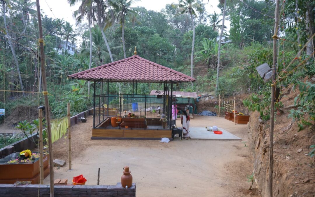 ആലംകോട് പൂവൻപാറ വിളയിൽ അപ്പൂപ്പൻ നടയിൽ ഉത്സവ മഹാമഹത്തിനു നാളെ സമാപനം