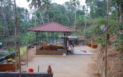 ആലംകോട് പൂവൻപാറ വിളയിൽ അപ്പൂപ്പൻ നടയിൽ ഉത്സവ മഹാമഹത്തിനു നാളെ സമാപനം