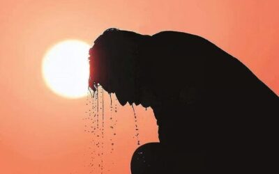 เดตเดฟเดฏเดฐเตโเดคเตเดคเตเดฒเดฟเดเตเดเต เดเตเดฐเดณเด, 12 เดเดฟเดฒเตเดฒเดเดณเดฟเดฒเตโ เดเดฏเดฐเตโเดจเตเดจ เดคเดพเดชเดจเดฟเดฒ เดฎเตเดจเตเดจเดฑเดฟเดฏเดฟเดชเตเดชเต; เดฏเตเดฒเตเดฒเต เด
เดฒเดฐเตโเดเตเดเต