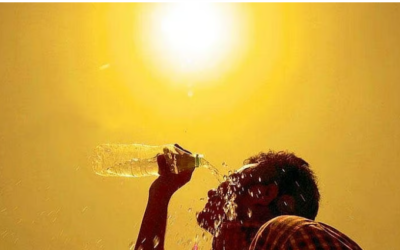 ചുട്ടുപൊള്ളി കേരളം; 12 ജില്ലകളില് ഉയര്ന്ന താപനില മുന്നറിയിപ്പ്, യെല്ലോ അലര്ട്ട്, ജാഗ്രത