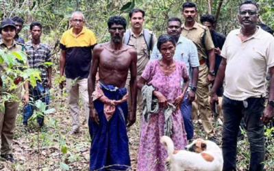 കാട്ടാനക്കൂട്ടത്തിന് മുന്നില്‍ അകപ്പെട്ടു, അഭയം തേടി മരത്തിന് മുകളിലേക്ക് പിടിച്ചുകയറി ദമ്പതികള്‍; രക്ഷപ്പെട്ടത് ഇങ്ങനെ