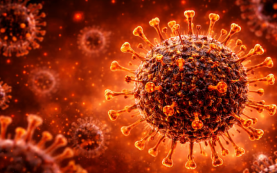 വാക്‌സിനേഷനില്‍ ഒതുങ്ങുമോ സിക്ക‍ഡ ? അമേരിക്കയില്‍ പടര്‍ന്നുപിടിച്ച് കോവിഡ് വകഭേദം; ഇന്ത്യയില്‍ ഭീഷണിയുണ്ടോ ?