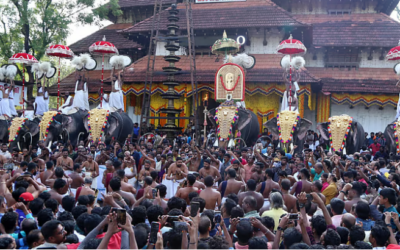 തൃശൂര്‍ പൂരത്തിന് വെടിക്കെട്ടില്ല; 15 ആനപ്പുറത്ത് എഴുന്നള്ളിപ്പ്, കുടമാറ്റം പേരിന് മാത്രം, പൊലിമ കുറച്ച് ആഘോഷം