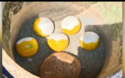 അഞ്ച് ‘ഐസ്‌ക്രീം ബോംബു’കളും ഒരു കെട്ടുബോംബും; കണ്ണൂരില്‍ വീണ്ടും ബോംബുകള്‍ കണ്ടെത്തി