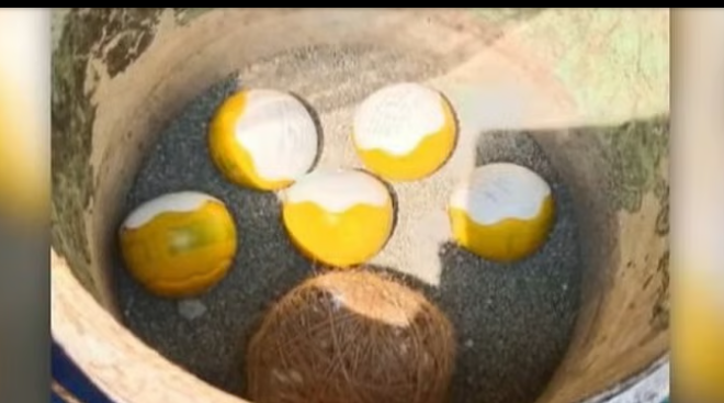 അഞ്ച് ‘ഐസ്‌ക്രീം ബോംബു’കളും ഒരു കെട്ടുബോംബും; കണ്ണൂരില്‍ വീണ്ടും ബോംബുകള്‍ കണ്ടെത്തി