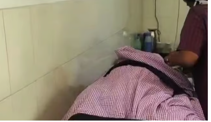 ഇടുക്കിയില്‍ കടന്നല്‍ കുത്തേറ്റ് കര്‍ഷകന്‍ മരിച്ചു