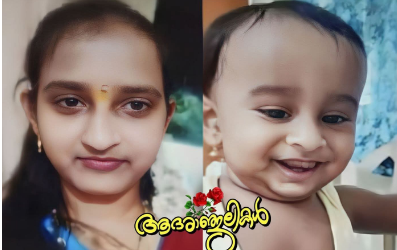 മകന്റെ വിയോഗത്തിൽ മനംനൊന്ത് പിന്നാലെ അമ്മയും ജീവനൊടുക്കി