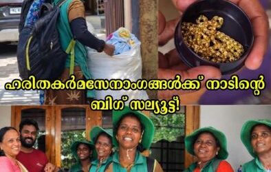 മാലിന്യക്കൂമ്പാരത്തിനിടയിൽ തിളങ്ങിയത് രണ്ട് പവൻ സ്വർണം! ആ സത്യസന്ധതയ്ക്ക് മുന്നിൽ നാട് കൈയ്യടിക്കുന്നു