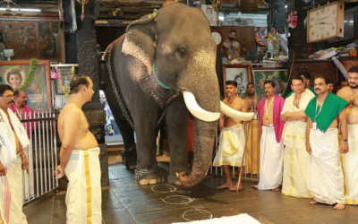 പത്തുലക്ഷം രൂപ അടച്ചു; വിഷുദിനത്തില് ഗുരുവായൂര് ക്ഷേത്രത്തില് വഴിപാടായി ആനയെ നടയിരുത്തി