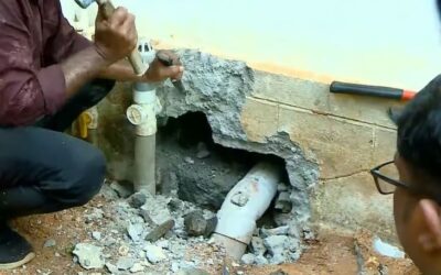 ഇതുവരെ കണ്ടെത്തിയത് അഞ്ചു ശംഖുവരയന്‍ പാമ്പുകളെ; മരിച്ച അല്‍ജോയുടെ വീടിന്റെ തറ പൊളിച്ച് പരിശോധിക്കുന്നു