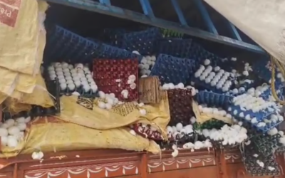 ലോറിക്ക് പിന്നിൽ ടോറസ് ഇടിച്ചു; ചിന്നിച്ചിതറി ലക്ഷക്കണക്കിന് മുട്ടകൾ