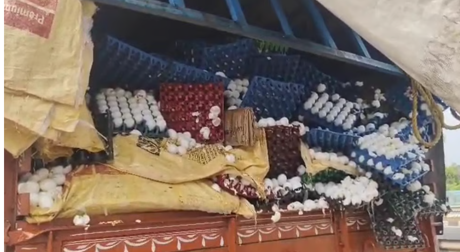 ലോറിക്ക് പിന്നിൽ ടോറസ് ഇടിച്ചു; ചിന്നിച്ചിതറി ലക്ഷക്കണക്കിന് മുട്ടകൾ