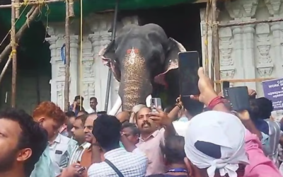 പാറമേക്കാവിലമ്മയെ ശിരസ്സിലേറ്റാന്‍ തൃക്കടവൂര്‍ ശിവരാജു, വടക്കുന്നാഥന്റെ മണ്ണില്‍ ഊഷ്മള സ്വീകരണം