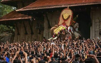 പൂരപ്രേമികൾ ആവേശത്തിൽ; പൂര വിളംബരം ഇന്ന്, എറണാകുളം ശിവകുമാറിന്റെ പുറത്തേറി നെയ്തലക്കാവിലമ്മ എഴുന്നള്ളും