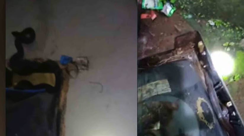 ഉറങ്ങിക്കിടന്ന ഗൃഹനാഥന്റെ കാലില് പാമ്പു ചുറ്റി, അത്ഭുത രക്ഷപ്പെടല്