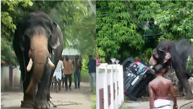 തൃശൂരില്‍ ആന ഇടഞ്ഞു, കാറും, ഓട്ടോറിക്ഷയും കുത്തിമറിച്ചു, പരിഭ്രാന്തി