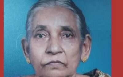 വീണ്ടും പാമ്പുകടി, കണ്ണൂരില്‍ വയോധിക മരിച്ചു; തൃശൂരില്‍ അടുക്കളയില്‍ പുല്ലാനി മൂര്‍ഖന്‍