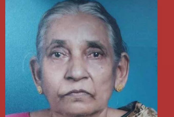 വീണ്ടും പാമ്പുകടി, കണ്ണൂരില്‍ വയോധിക മരിച്ചു; തൃശൂരില്‍ അടുക്കളയില്‍ പുല്ലാനി മൂര്‍ഖന്‍