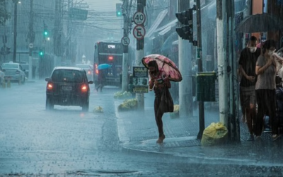 അഞ്ച് ദിവസം ശക്തമായ മഴ; ഏഴു ജില്ലകളില്‍ യെല്ലോ അലര്‍ട്ട്