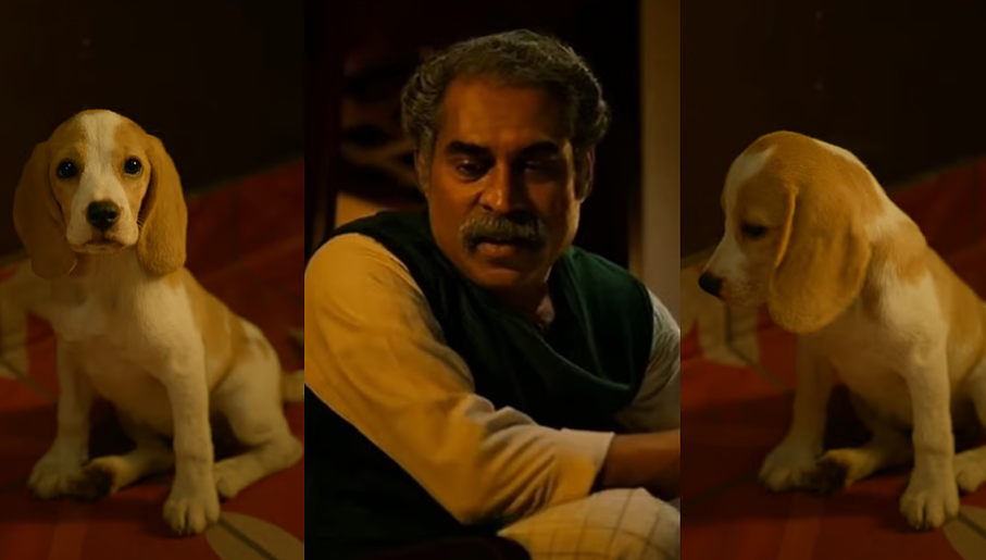 ഗോവിന്ദരാജയുടെ ആരും ശ്രദ്ധിക്കാതെ പോയ മറ്റൊരു മുഖം, തിളങ്ങി നോവയും