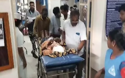 വാല്‍പാറയില്‍ പുലിക്ക് പിന്നാലെ കരടിയുടെയും ആക്രമണം; തേയിലത്തോട്ട തൊഴിലാളിക്ക് ഗുരുതര പരിക്ക്, ഭീതി