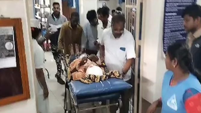 വാല്‍പാറയില്‍ പുലിക്ക് പിന്നാലെ കരടിയുടെയും ആക്രമണം; തേയിലത്തോട്ട തൊഴിലാളിക്ക് ഗുരുതര പരിക്ക്, ഭീതി