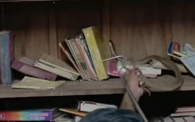 പാലക്കാട് വിക്ടോറിയ കോളജ് ലൈബ്രറിയില്‍ കൂറ്റന്‍ മൂര്‍ഖന്‍ പാമ്പ്; കണ്ടെത്തിയത് പുസ്തകങ്ങള്‍ക്കിടയില്‍