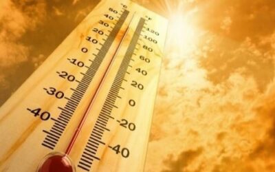 കടുത്ത ചൂട്: ഗള്‍ഫ് രാജ്യങ്ങളില്‍ തൊഴില്‍ സമയങ്ങളില്‍ മാറ്റം, ലംഘിച്ചാല്‍ കടുത്ത ശിക്ഷ