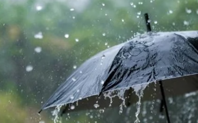 ഇനി മഴയെ മാത്രം പേടിച്ചാല്‍ പോരാ!, വിദ്യാര്‍ഥിയുടെ കുടയ്ക്ക് മുകളിലേക്ക് വന്നുവീണത് മൂര്‍ഖന്‍; രക്ഷപ്പെട്ടത് തലനാരിഴയ്ക്ക്