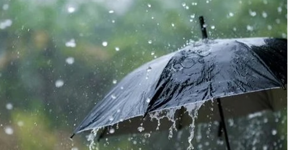 ഇനി മഴയെ മാത്രം പേടിച്ചാല്‍ പോരാ!, വിദ്യാര്‍ഥിയുടെ കുടയ്ക്ക് മുകളിലേക്ക് വന്നുവീണത് മൂര്‍ഖന്‍; രക്ഷപ്പെട്ടത് തലനാരിഴയ്ക്ക്