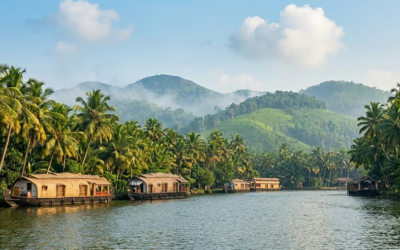 വെറുതെ കിടക്കുന്ന സര്‍ക്കാര്‍ ഭൂമി പ്രയോജനപ്പെടുത്തും, ഭൂനിയമങ്ങള്‍ പരിഷ്‌കരിക്കും; ഭൂപരിഷ്‌കരണം 2 പ്രഖ്യാപിച്ച് ബജറ്റ്