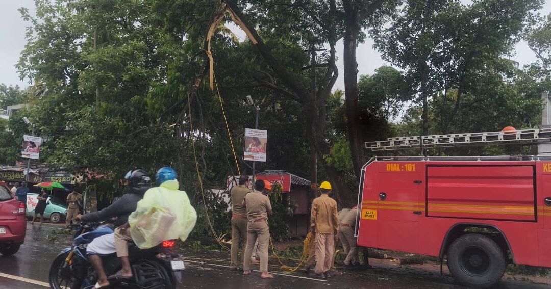 മണമ്പൂരിൽ മരം ഒടിഞ്ഞു വീണു ഗതാഗതം തടസപ്പെട്ടു