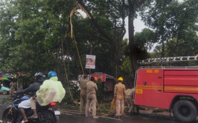 മണമ്പൂരിൽ മരം ഒടിഞ്ഞു വീണു ഗതാഗതം തടസപ്പെട്ടു
