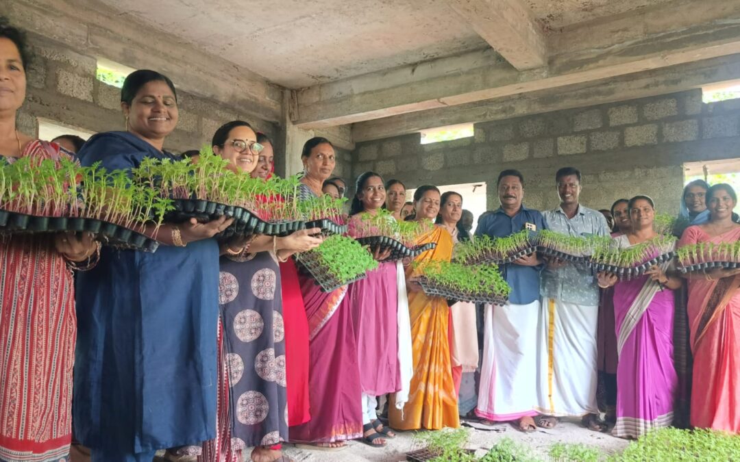 ഓണക്കാല പുഷ്പകൃഷിക്കായി ബ്ലോക്ക്‌ തല തൈ വിതരണോദ്ഘാടനം നടന്നു