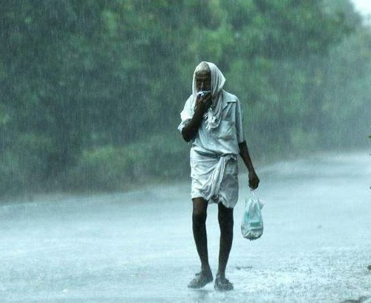 സംസ്ഥാനത്ത് ഇന്നും പരക്കെ മഴ; കണ്ണൂരും കാസര്കോടും ഓറഞ്ച് അലേര്ട്ട്