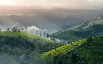 മൂന്നാറില്‍ ശനിയാഴ്ച മുതല്‍ പ്ലാസ്റ്റിക് നിരോധനം; ലംഘിക്കുന്നവര്‍ക്ക് വന്‍ പിഴ