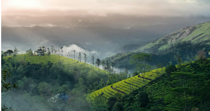 മൂന്നാറില് ശനിയാഴ്ച മുതല് പ്ലാസ്റ്റിക് നിരോധനം; ലംഘിക്കുന്നവര്ക്ക് വന് പിഴ