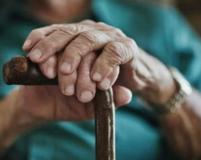 ഒറ്റ തവണ അടച്ചാല്‍ മതി, മരണം വരെ പെന്‍ഷന്‍; അറിയാം എല്‍ഐസിയുടെ കിടിലന്‍ സ്‌കീം