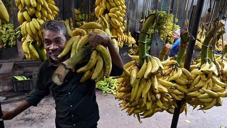 ഓണ വിപണിയില്‍ പൊള്ളി നേന്ത്രക്കായ വില; കിലോഗ്രാമിന് 80ന് മുകളില്‍