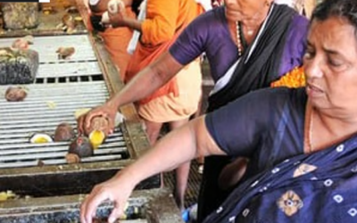 ശബരിമലയിൽ നെയ്യ് ശേഖരിക്കാൻ പ്രത്യേക സംവിധാനം; പുതിയ നീക്കവുമായി ദേവസ്വം ബോർഡ്