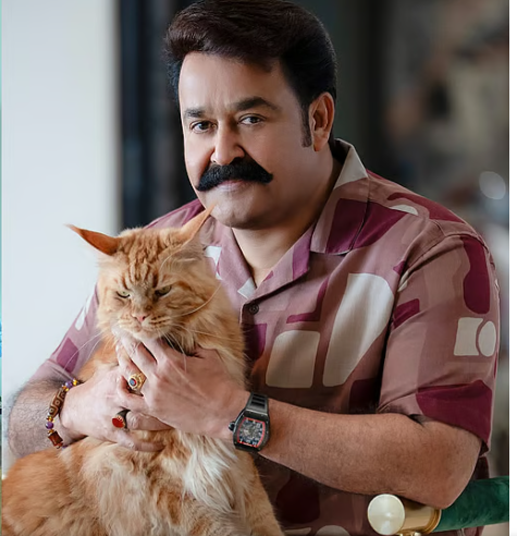 മോഹന്‍ലാലിനെക്കുറിച്ചുള്ള പരാമര്‍ശം; ആയുഷ്മാന് പങ്കില്ല, കാരണം നിര്‍മാതാവെന്ന് ജൂഡ്; കമന്റിലെത്തി താരം