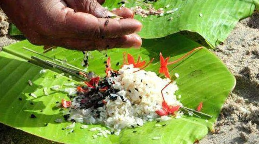 ‘പിതൃബലി മരിച്ചവരെ മാത്രം ഓർക്കുന്ന ചടങ്ങല്ല, പുതുതലമുറയ്ക്ക് കൈമാറുന്ന സംസ്കാരം’; അറിയാം അമാവാസി ബലിയും കർക്കടക വാവ് ബലിയും