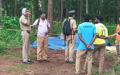 വാളയാറിൽ ട്രെയിനിടിച്ച് പിടിയാനയും കുട്ടിയാനയും ചരിഞ്ഞു; 50 മീറ്ററോളം വലിച്ചിഴച്ചു