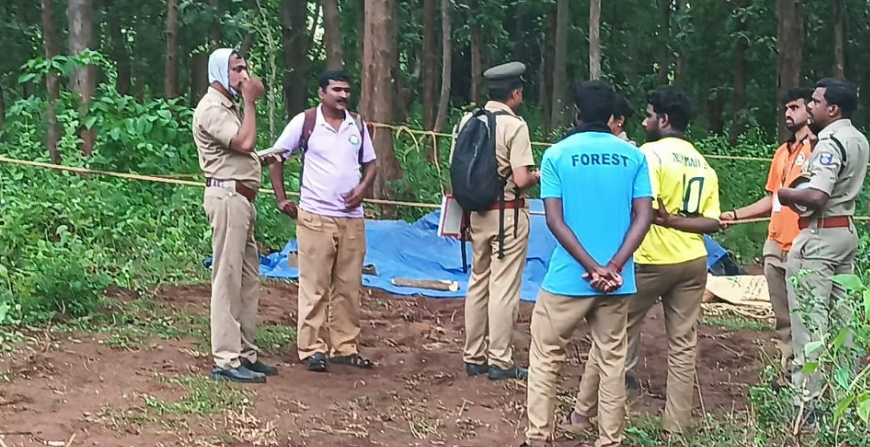 വാളയാറിൽ ട്രെയിനിടിച്ച് പിടിയാനയും കുട്ടിയാനയും ചരിഞ്ഞു; 50 മീറ്ററോളം വലിച്ചിഴച്ചു