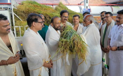 പൊന് കതിര്ക്കറ്റകളെത്തി; ഗുരുവായൂരില് ഇല്ലംനിറ നാളെ, തൃപ്പുത്തരി ഓഗസ്റ്റ് 30ന്