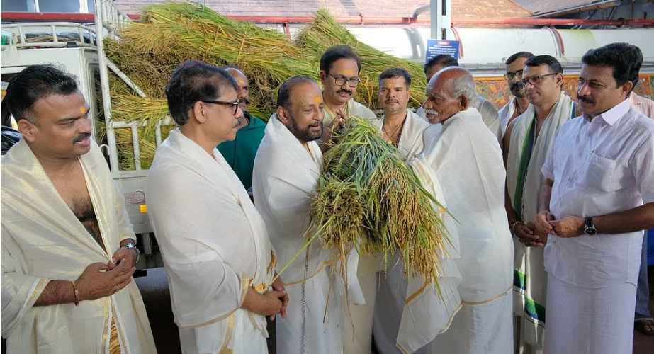 പൊന്‍ കതിര്‍ക്കറ്റകളെത്തി; ഗുരുവായൂരില്‍ ഇല്ലംനിറ നാളെ, തൃപ്പുത്തരി ഓഗസ്റ്റ് 30ന്
