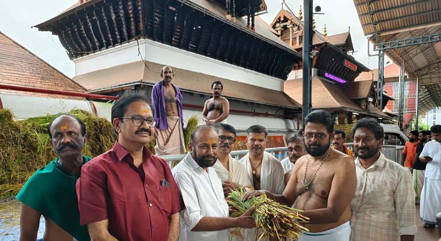 ആദ്യ കൊയ്ത്തിന്റെ നെല്ല് ഗുരുവായൂരപ്പന്; ​ഗുരുവായൂരിൽ ഇല്ലംനിറ ഇന്ന്